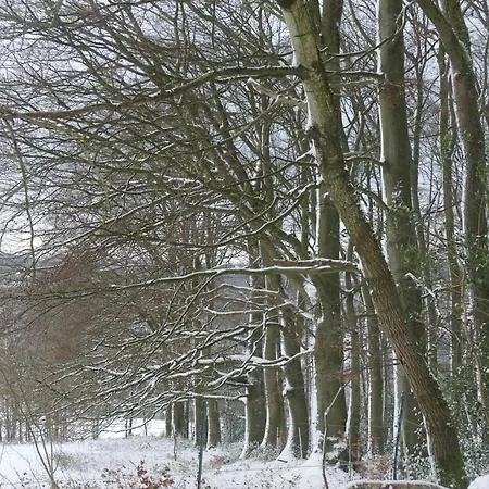 Hueppelroettchen Eitorf