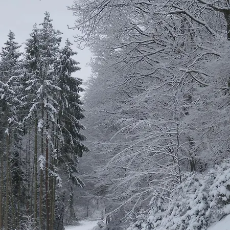 Hueppelroettchen * Eitorf