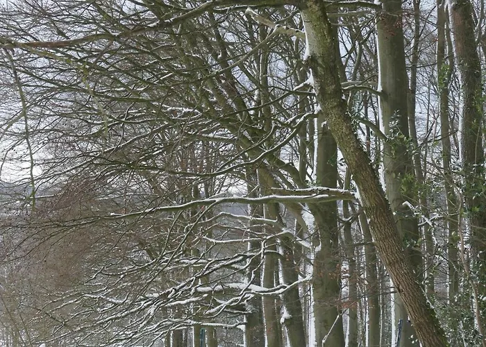 Hueppelroettchen Eitorf