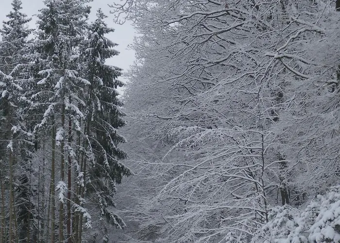 Hueppelroettchen * Eitorf